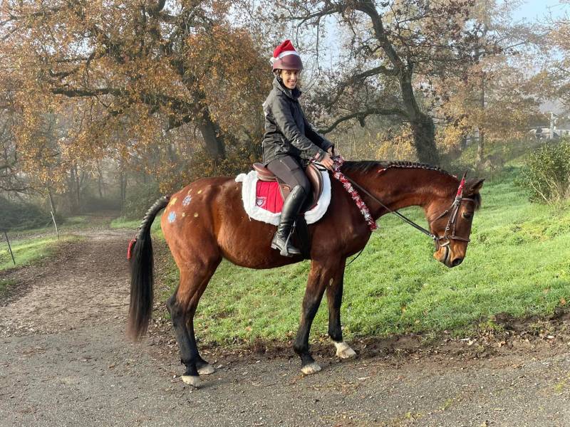Norah et sa jument Gazelle