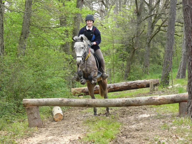 Passage succession de troncs