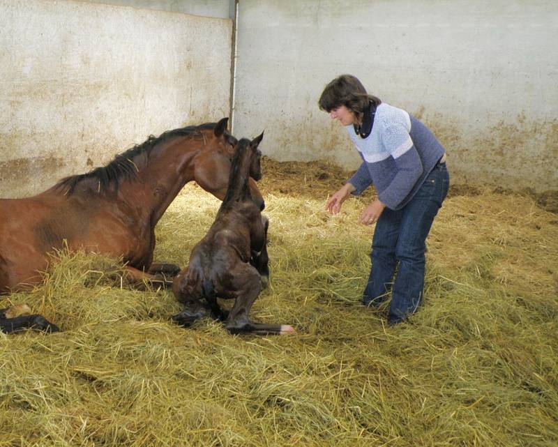 Assistance à la naissance