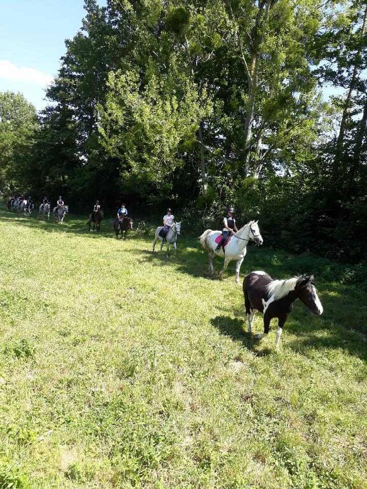 balade pleine nature