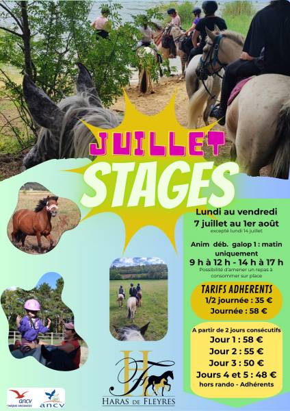 Stages Juillet 2025