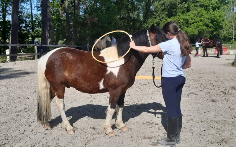 Cerceau caressant le dos