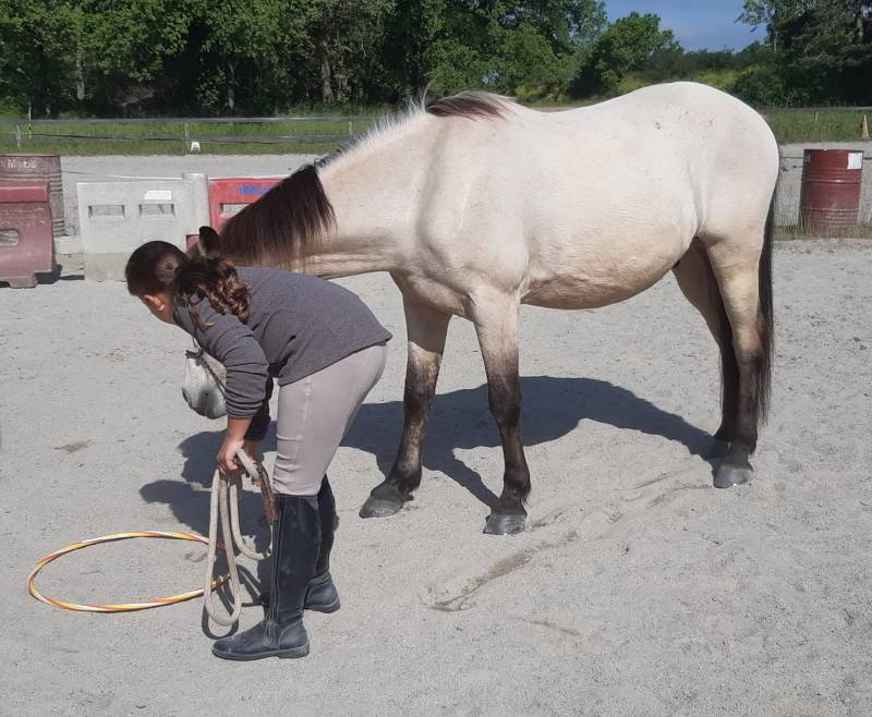 présentation du cerceau