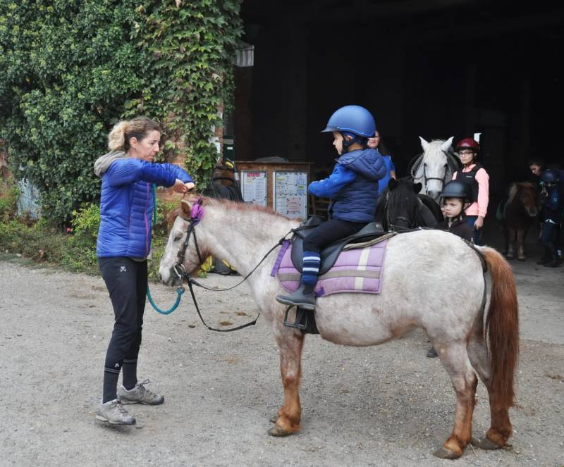 Mise en selle des petits