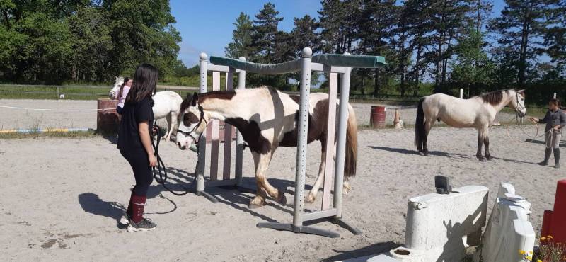 NOS ACTIVITES PHARES !