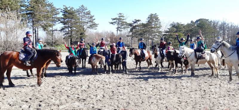 Stage en cours collectifs au Centre équestre de Fleyres près de Toulouse