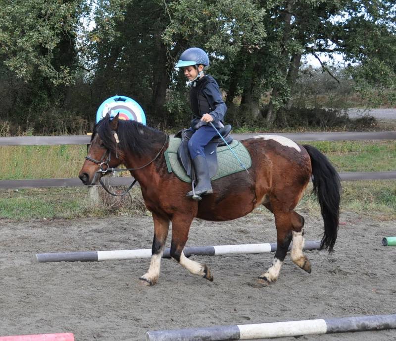 entrainement sans les rênes