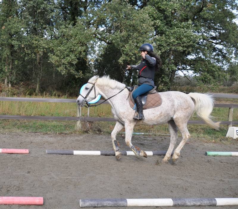 tir à l'arc en plein galop