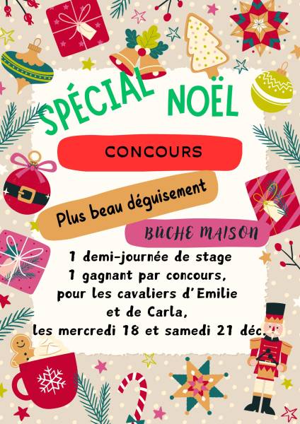 Concours du plus beau déguisement Noël