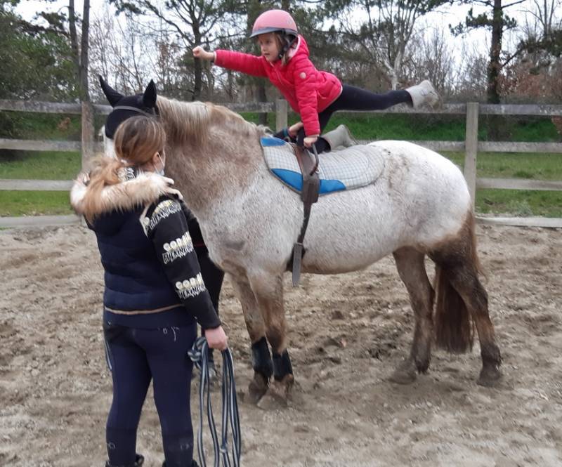 Initiation à la Voltige pour les petits au Centre équestre de Fleyres