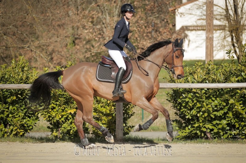 Indigo et Clémentine