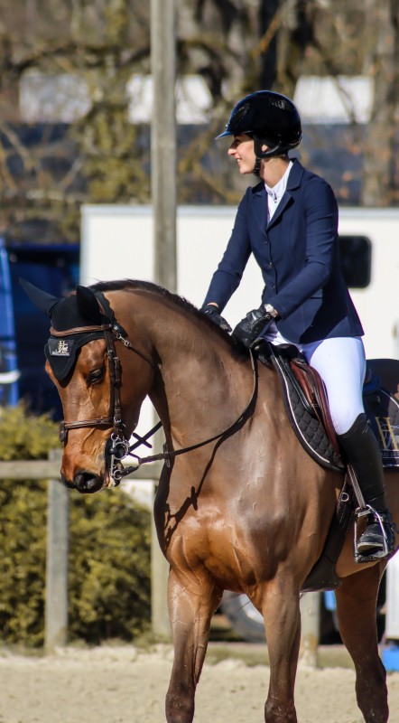 Pension travail et valorisation des chevaux de sport