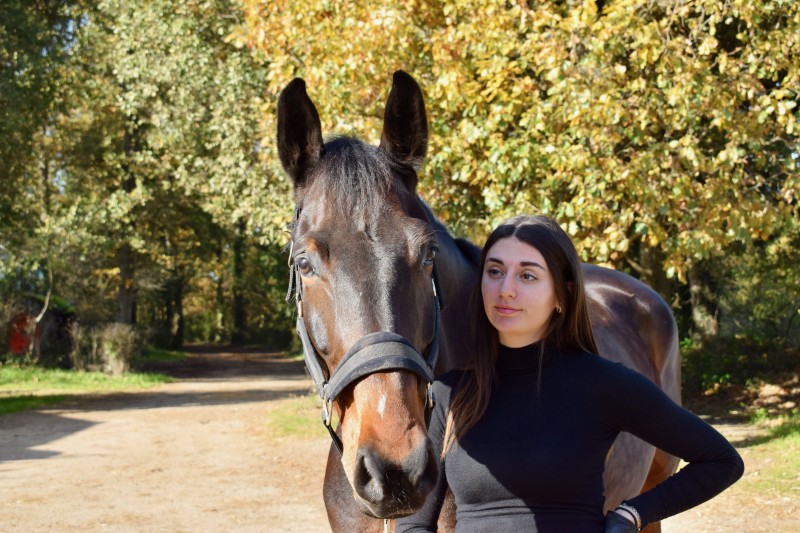 Pension travail et valorisation des chevaux de sport