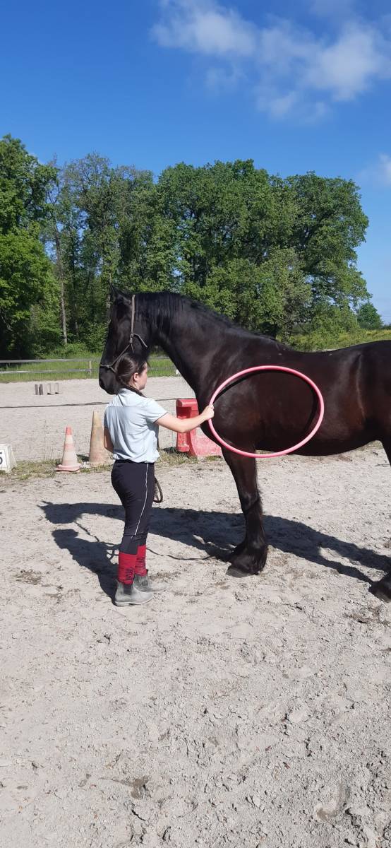 Caresser le flanc avec le cerceau