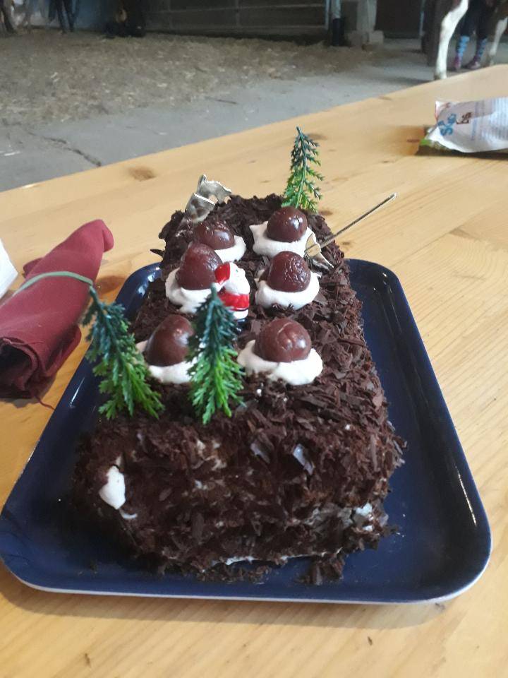 Gateau de Noël