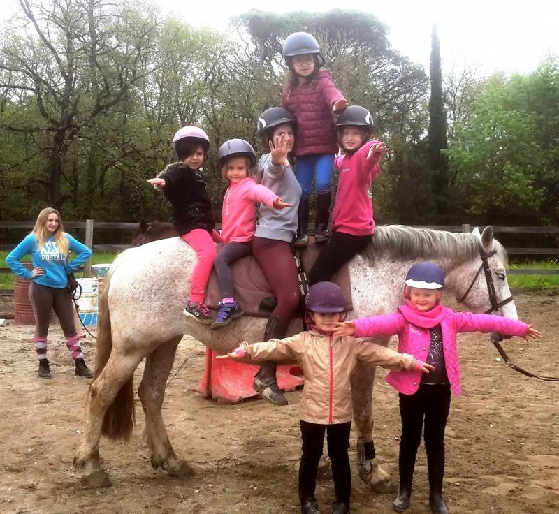 Les plus petits s'initient à la voltige pendant les vacances au Centre équestre du Haras de Fleyres