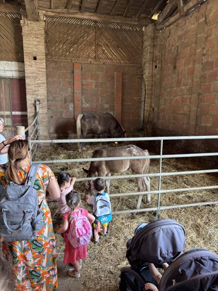 Observation de Bianca et sa pouliche Perce Neige