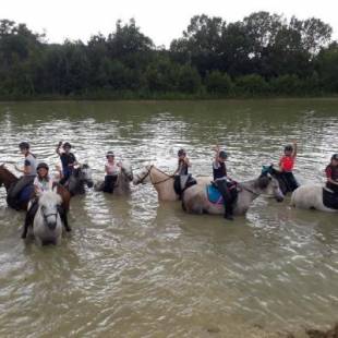 Nos prestations sur le secteur de proche de Merville (31330) proche de Toulouse