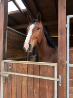 Nos prestations sur le secteur de près de Blagnac (31700) en région Toulousaine