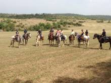 Nos prestations sur le secteur de proche de L'Isle Jourdain (32600), Gers
