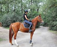 Notre zone d'activité pour ce service Centre équestre avec promenade à cheval