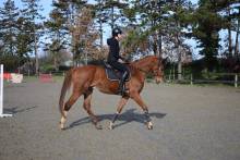 Nos prestations sur le secteur de proche de Merville (31330) proche de Toulouse