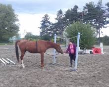 Notre zone d'activité pour ce service Pension de retraite pour chevaux avec prés abrités et soins personnalisés