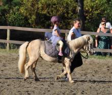 Notre zone d'activité pour ce service Cours d'équitation pour adulte avec terrain de cross