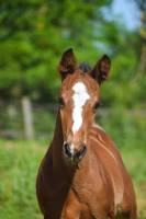 Nos prestations sur le secteur de proche de Mondonville (31700), Haute-Garonne