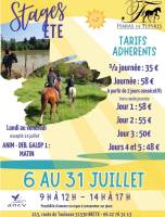 stage d'ete 
