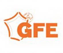 Logo GFE