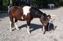 Notre zone d'activité pour ce service Prix pour une demi-pension pour cheval