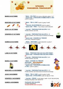 Nos prestations sur le secteur de près de Blagnac (31700) en région Toulousaine