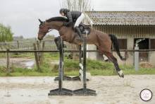 Nos prestations sur le secteur de proche de L'Isle Jourdain (32600), Gers