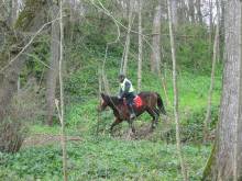 Notre zone d'activité pour ce service Centre équestre avec promenade à cheval